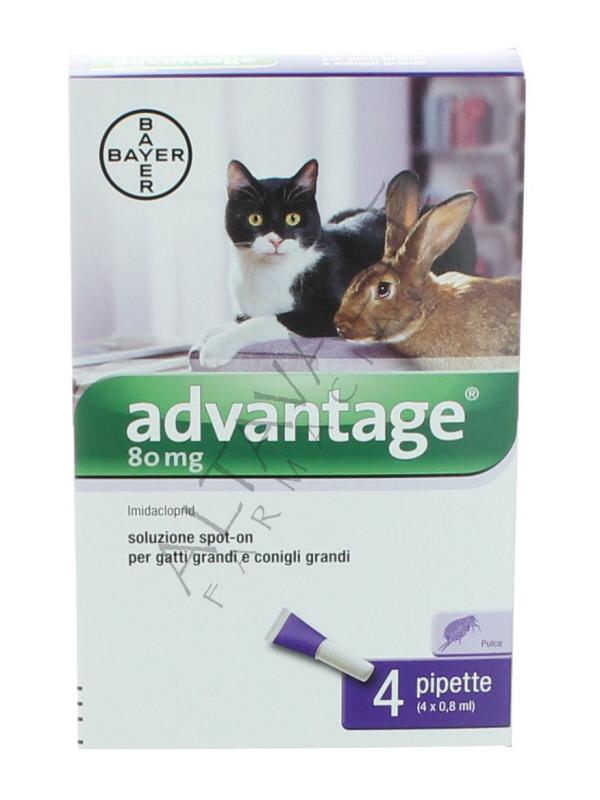 ADVANTAGE 80 GATTI E CONIGLI GRANDI