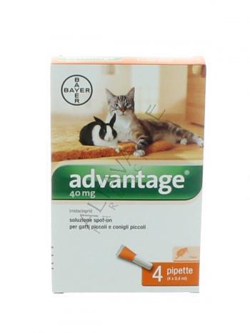 ADVANTAGE 40 GATTI CONIGLI PICCOLI 