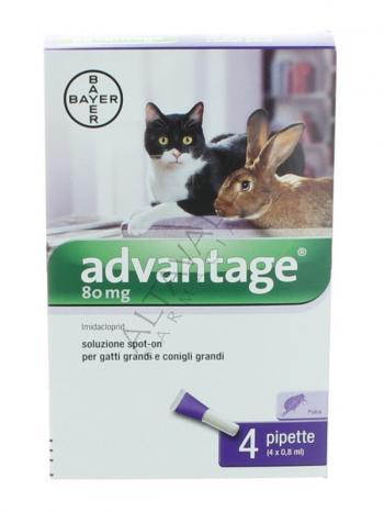 ADVANTAGE 80 GATTI E CONIGLI GRANDI