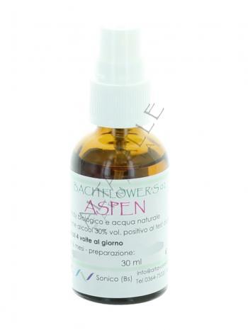 BACH ASPEN 2