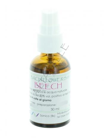 BACH BEECH 3