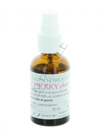 BACH CHERRY PLUM 6
