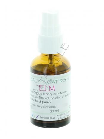 BACH ELM 11