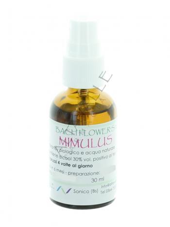 BACH MIMULUS 20