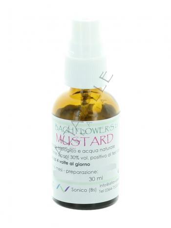 BACH MUSTARD 21