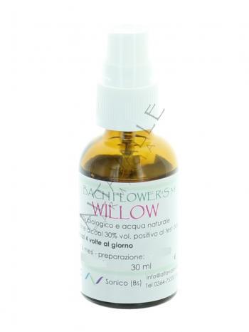 BACH WILLOW 38
