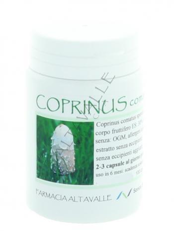 CAPSULE COPRINUS COMATUS - veg