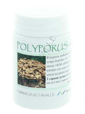 CAPSULE POLYPORUS UMBELLATUS - veg