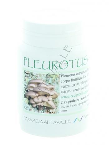 CAPSULE PLEUROTUS OSTREATUS - veg