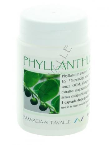 ESTRATTO PHYLLANTHUS AMARUS - veg