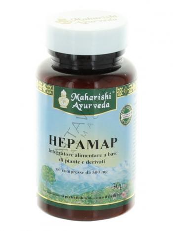 MAP HEPAMAP