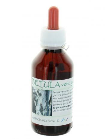MG1DH BETULA VERRUCOSA GEMME