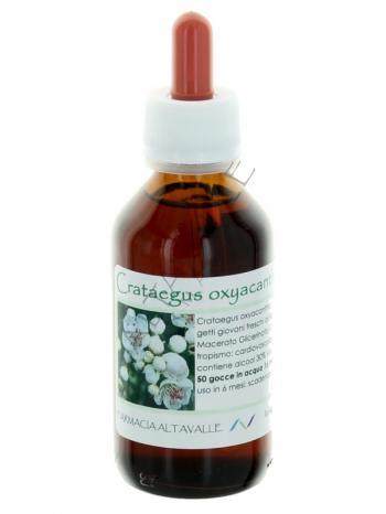 MG1DH CRATAEGUS OXYACANTHA