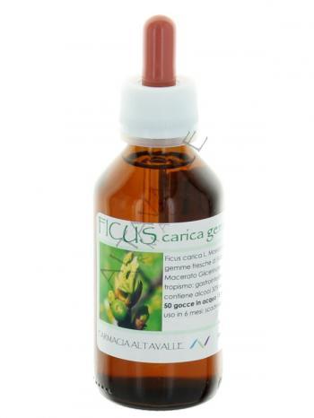MG1DH FICUS CARICA