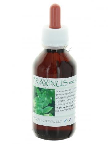 MG1DH FRAXINUS EXCELSIOR