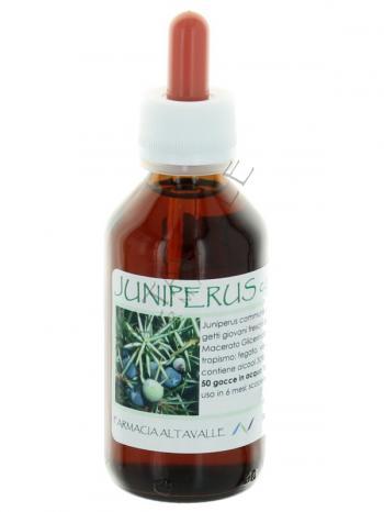MG1DH JUNIPERUS COMMUNIS