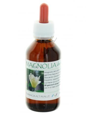MG1DH MAGNOLIA DENUDATA