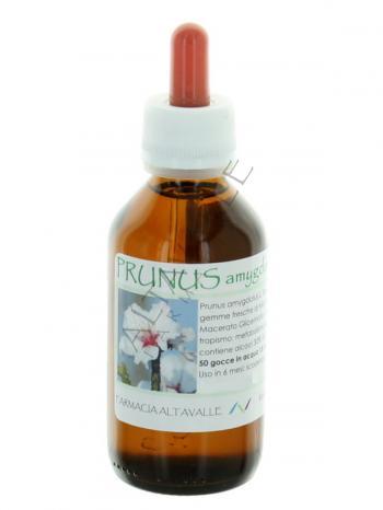 MG1DH PRUNUS AMYGDALUS