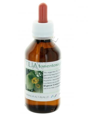 MG1DH TILIA TOMENTOSA