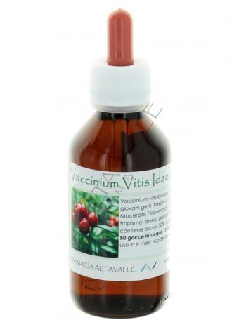 MG1DH VACCINIUM VITIS IDAEA