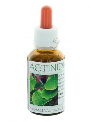 MGM ACTINIDIA CHINENSIS