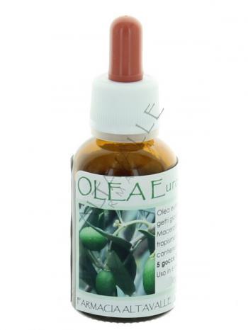 MGM OLEA EUROPAEA