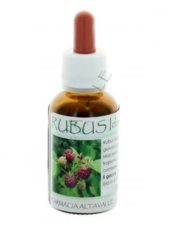 MGM RUBUS IDAEUS