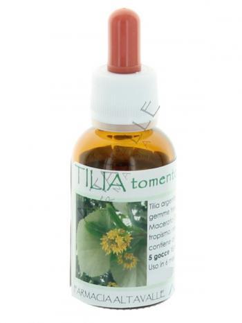 MGM TILIA TOMENTOSA