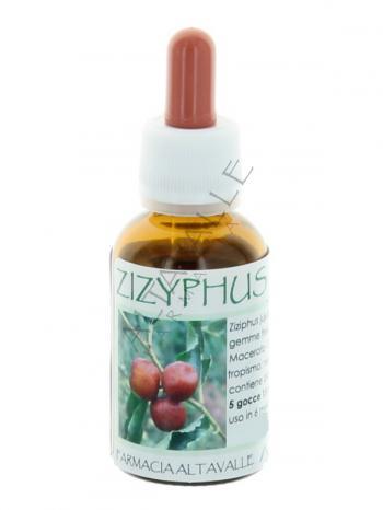 MGM ZIZYPHUS JUJUBA