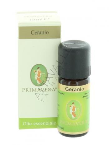 PRIMAVERA GERANIO