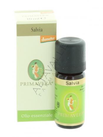 PRIMAVERA SALVIA DEMETER 