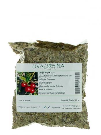 TISANA UVA URSINA FOGLIE