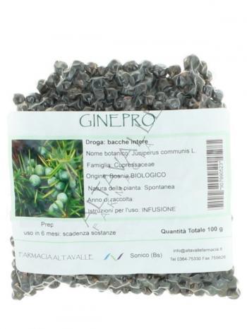 TISANA GINEPRO BACCHE
