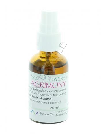 BACH AGRIMONY 1