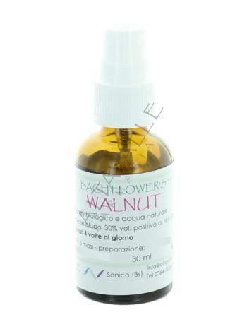 BACH WALNUT 33