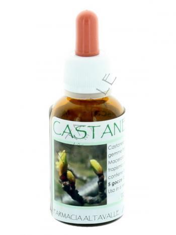 MGM CASTANEA VESCA