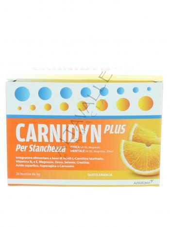 CARNIDYN PLUS BUSTINE