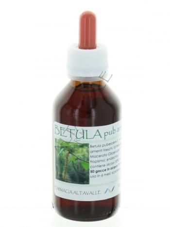 MG1DH BETULA PUBESCENS AMENTI