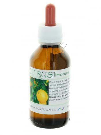 MG1DH CITRUS LIMONUM