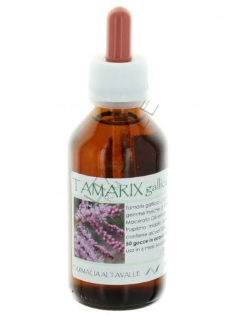 MG1DH TAMARIX GALLICA