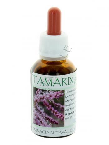 MGM TAMARIX GALLICA